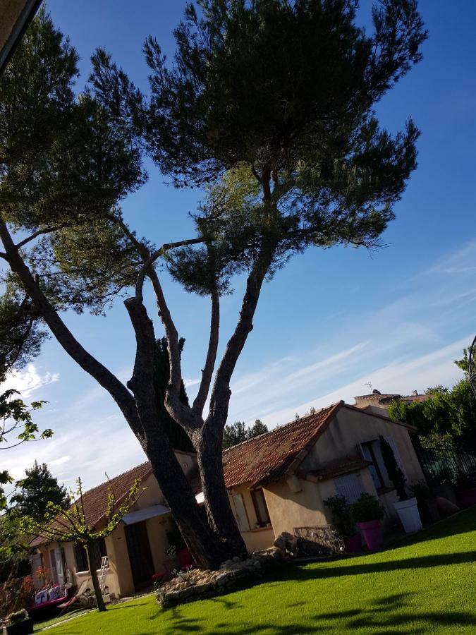 A L'Oree Du Pin Aix-en-Provence Exteriör bild